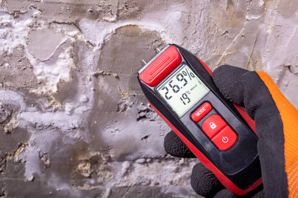 Best Crawl Space Mold Removal  in Lyncourt, NY